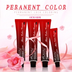 Tintura de creme para cabelo profissional